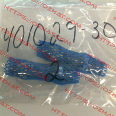 401029-30 Msc