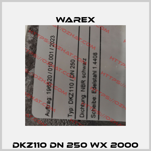 DKZ110 DN 250 WX 2000 Warex