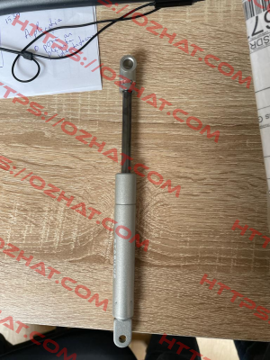 677310 Stabilus