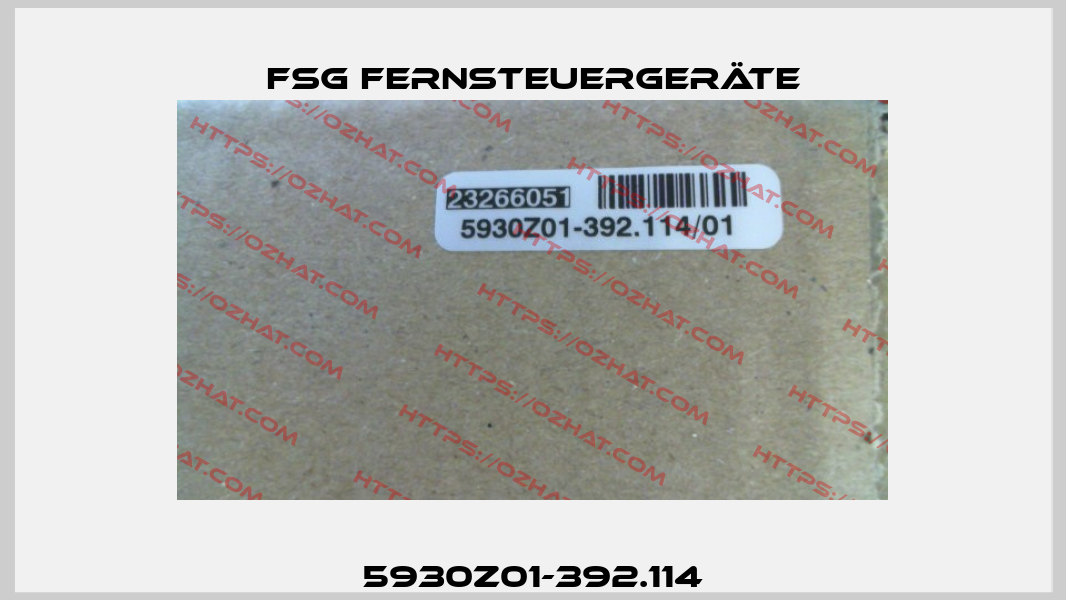 5930Z01-392.114 FSG Fernsteuergeräte