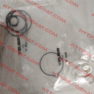 seal and wear part set for Model 63 Valbia