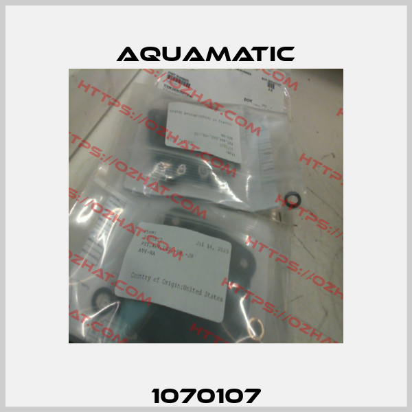 1070107 AquaMatic