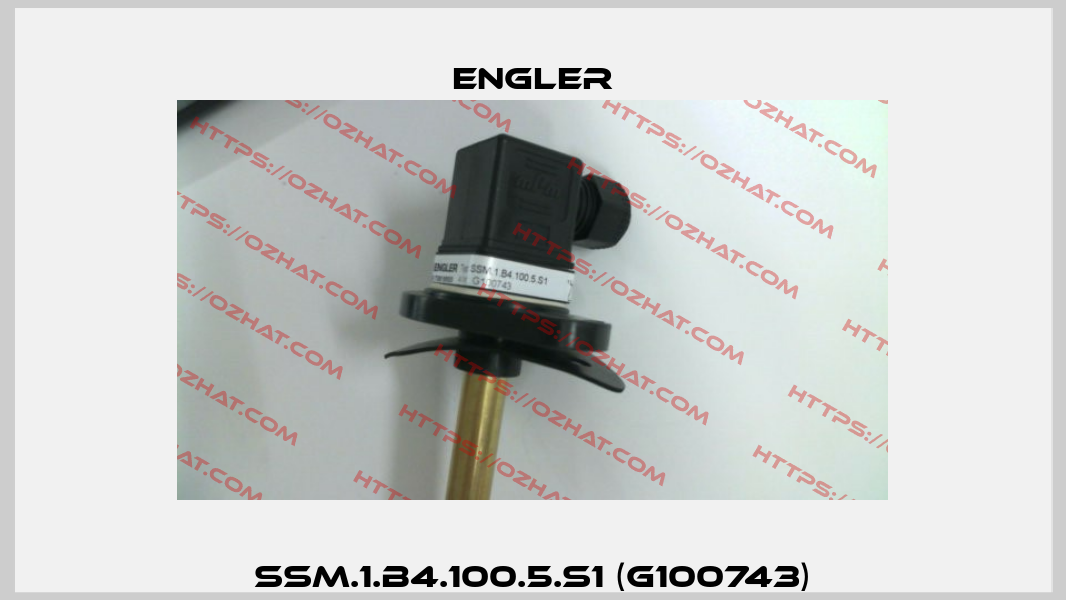 SSM.1.B4.100.5.S1 (G100743) Engler