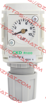 R1000-8G-G3 Ckd
