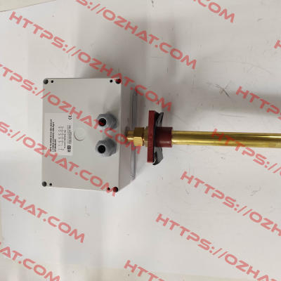 NT400B 567 Goldammer