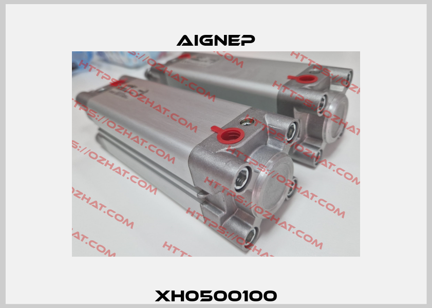 XH0500100 Aignep
