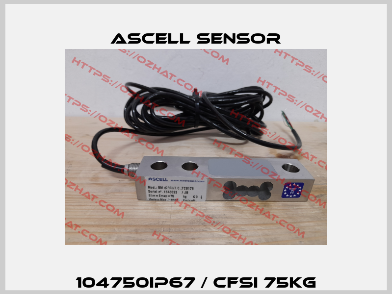 104750IP67 / CFSI 75kg Ascell Sensor