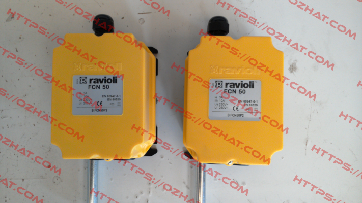BFCN50 P2 Ravioli