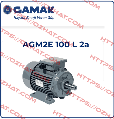 2007 177409 AGM 100 L 2 Gamak