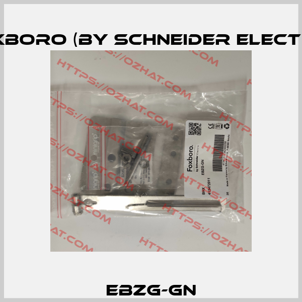 EBZG-GN Foxboro (by Schneider Electric)