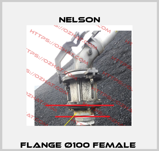 FLANGE Ø100 FEMALE  Nelson