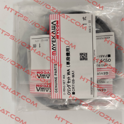 107623 - O-ring set (BUNA- N) WA Mycom