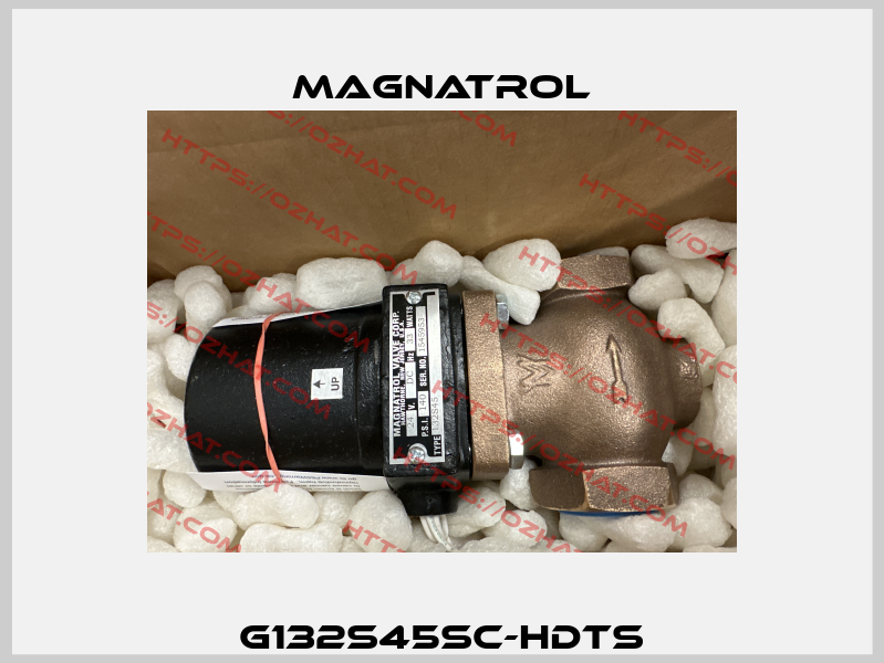 G132S45SC-HDTS Magnatrol