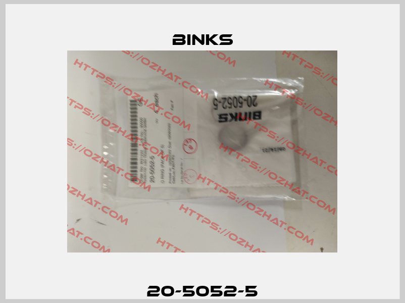 20-5052-5 Binks