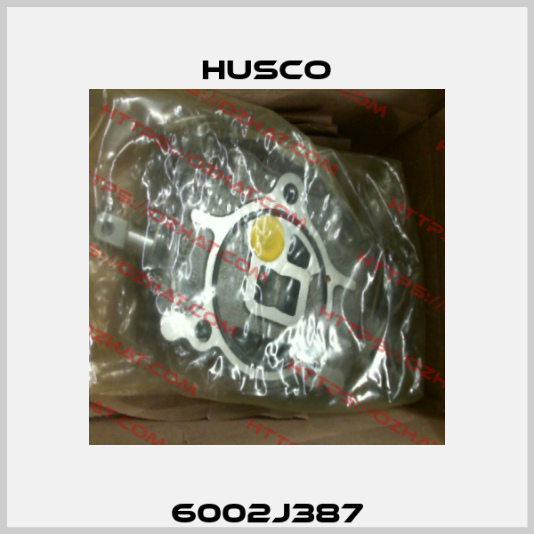 6002J387 Husco