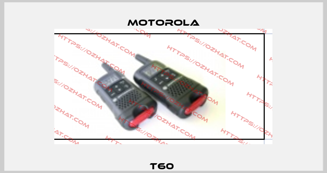  T60   Motorola