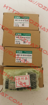 4KB119-00-B-DC24V Ckd