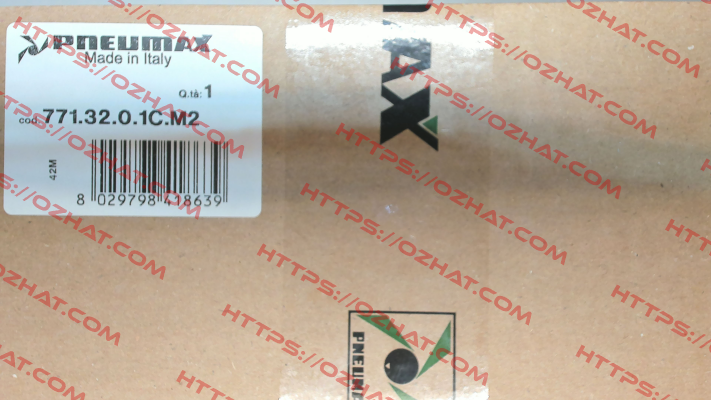 771.32.0.1C.M2 Pneumax
