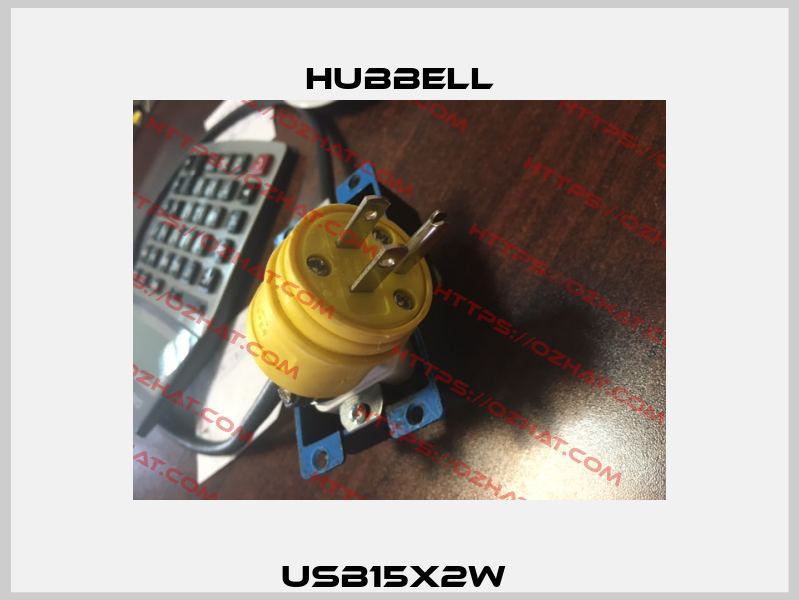 USB15X2W  Hubbell